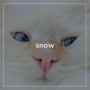 Snow - Single