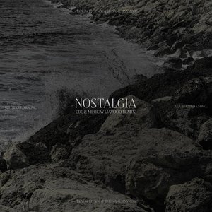 Nostalgia (feat. Mirrow) [Javooo Remix] - Single