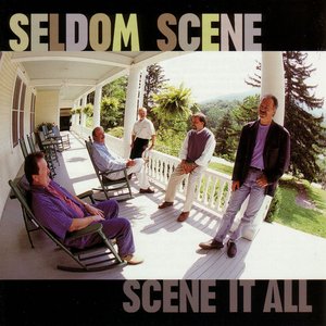 “Scene It All”的封面