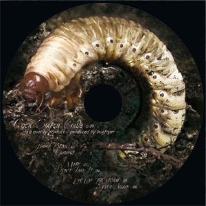 Cock Chafer Grub