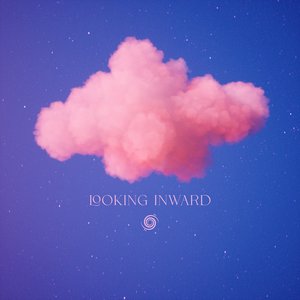 Looking Inward