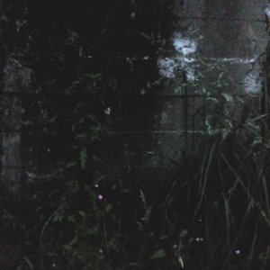 Static Eulogy 2