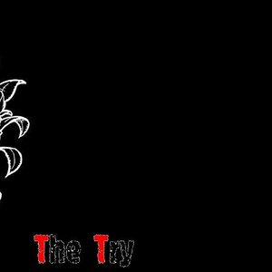 The try 的头像