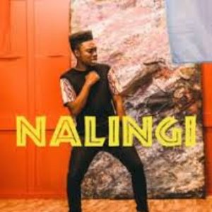 NaLingi