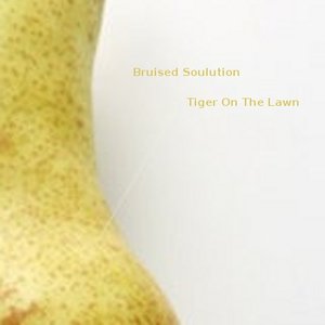 Bruised Soulution
