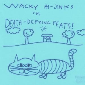 Wacky Hi-Jinks and Death Defying Feats