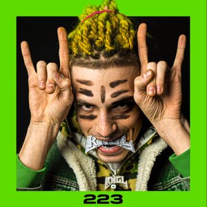 223