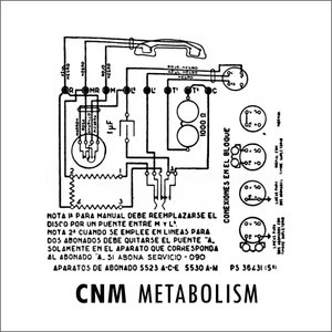 metabolism