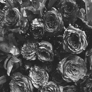 I Can't Make You Love Me/Nick of Time (feat. Holly Bowling) - Single