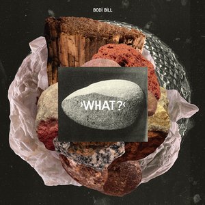 Image pour 'What?'