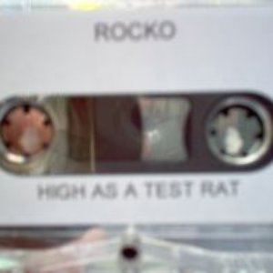 Image for 'High As A Test Rat'