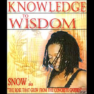 Knowledge To Wisdom