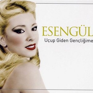 Image for 'Uçup Giden Gençligime'