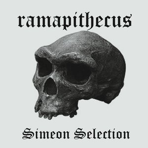 Simeon Selection