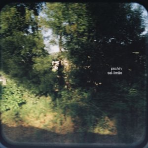 sal-limão