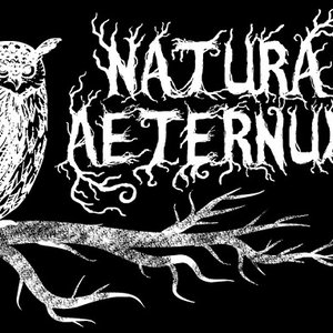 Avatar for Natura Aeternum