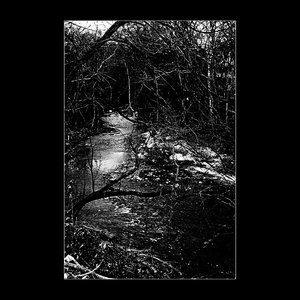 Trudge