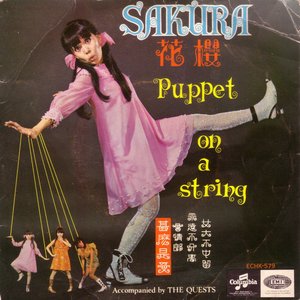 Sakura & The Quests 的头像