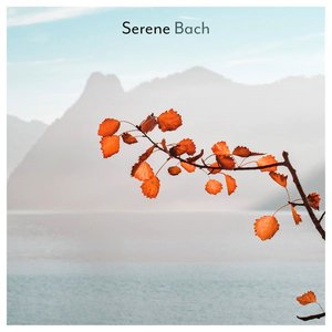 Serene Bach