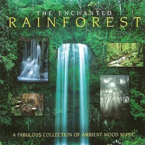 The Enchanted Rainforest