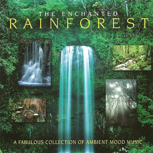 The Enchanted Rainforest cover
