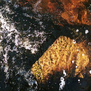With the Rotation of the Earth - EP