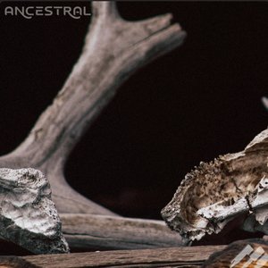 Ancestral