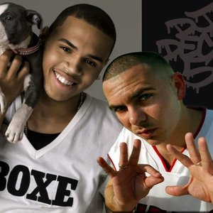 Avatar for Chris Brown Feat. Pitbull