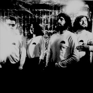 The Pussywarmers 的头像