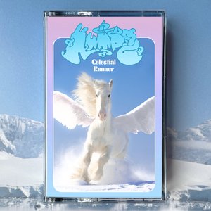 Celestial Runner
