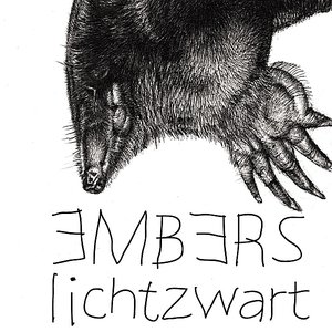 Lichtzwart