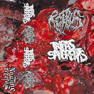 Tripas Sangrietas Split - Single