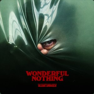 Wonderful Nothing (Edit) - Single
