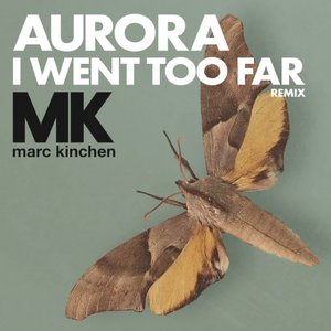 I Went Too Far (MK Remix) [Radio Version]