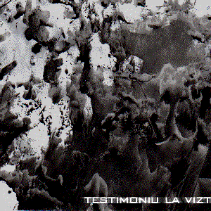 Testimoniu la viztima 的头像