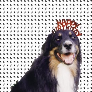 Mollie's Mix