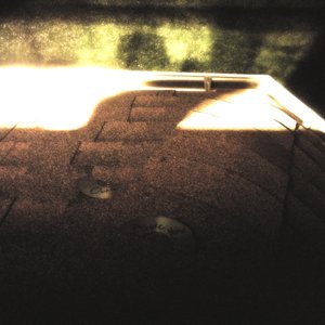 Azure Noise 的头像