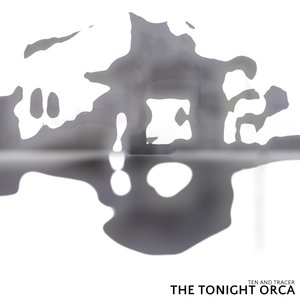 The Tonight Orca