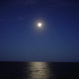 The Moonshine Community 的头像