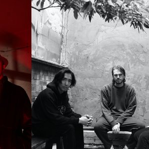 Holy Tongue meets Shackleton 的头像