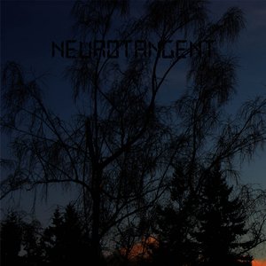 Image for 'Neurotangent'
