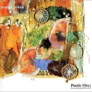 Poetic Ore; Invisible Beautiful Realism