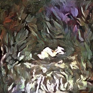 We are drowning in a veiled cosmos