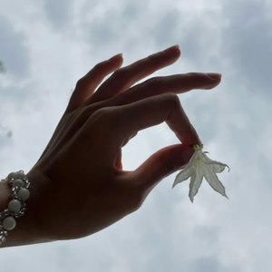 ผกา (Flower)
