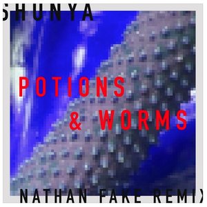 Potions & Worms (Nathan Fake Remix)