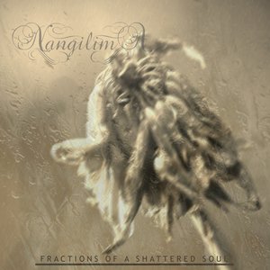 Fractions of a Shattered Soul