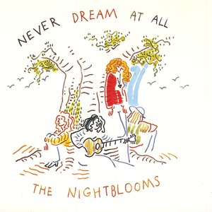 Never Dream At All