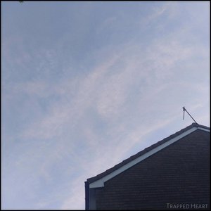 Trapped Heart