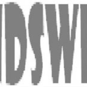 Blindswitch 的头像