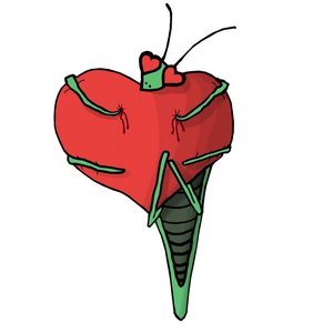 Amore mantide